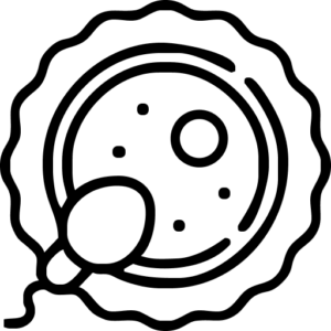ВРТ (ЭКО)